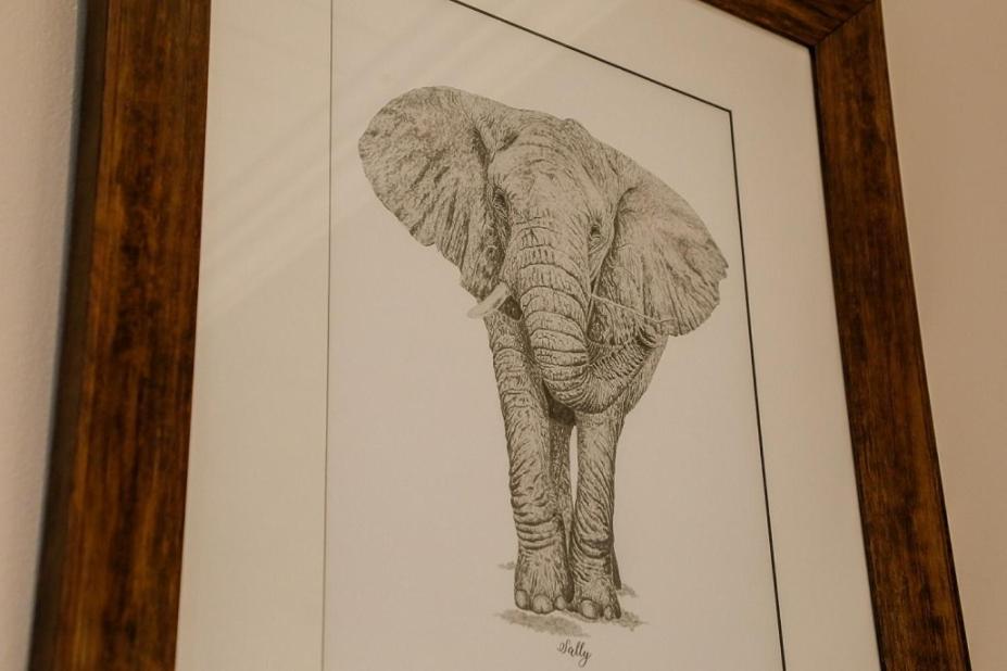 פלטנברג ביי Knysna Elephant Park Lodge מראה חיצוני תמונה
