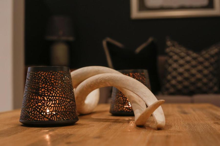 פלטנברג ביי Knysna Elephant Park Lodge מראה חיצוני תמונה